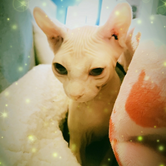 are you having your best day possible? - Picture 5 of 15